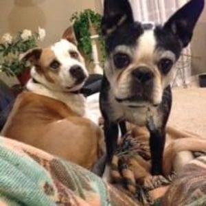 Meet your Posher, Jackie